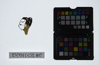 藏品(皮影戲偶頭-生)的圖片