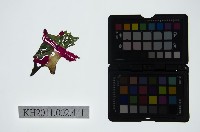 藏品(皮影戲偶頭-淨)的圖片