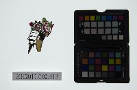 藏品(皮影戲偶頭-末)的圖片