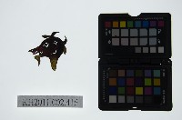 藏品(皮影戲偶頭-雜)的圖片