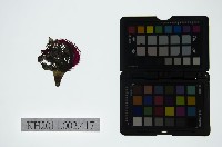 藏品(皮影戲偶頭-雜)的圖片