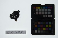 藏品(皮影戲偶頭-雜)的圖片