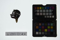 藏品(皮影戲偶頭-雜)的圖片