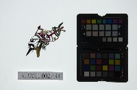 藏品(皮影戲偶頭-淨)的圖片