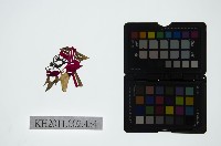 藏品(皮影戲偶頭-雜)的圖片