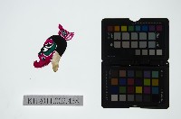 藏品(皮影戲偶頭-雜)的圖片