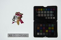 藏品(皮影戲偶頭-雜)的圖片