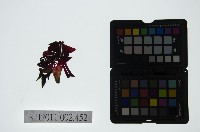 藏品(皮影戲偶頭-雜)的圖片