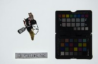 藏品(皮影戲偶頭-生)的圖片