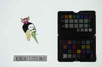 藏品(皮影戲偶頭-雜)的圖片