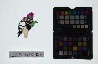 藏品(皮影戲偶頭-雜)的圖片