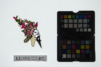 藏品(皮影戲偶頭-末)的圖片