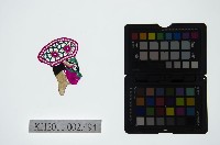 藏品(皮影戲偶頭-淨)的圖片