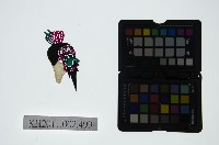 藏品(皮影戲偶頭-雜)的圖片