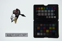 藏品(皮影戲偶頭-生)的圖片