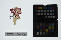 藏品(皮影戲偶頭-生)的圖片