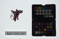 藏品(皮影戲偶頭-生)的圖片