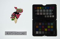 藏品(皮影戲偶頭-雜)的圖片