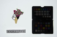 藏品(皮影戲偶頭-生)的圖片