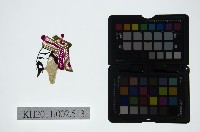 藏品(皮影戲偶頭-生)的圖片