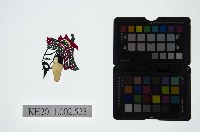 藏品(皮影戲偶頭-末)的圖片