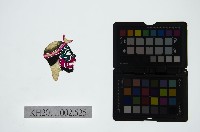 藏品(皮影戲偶頭-雜)的圖片