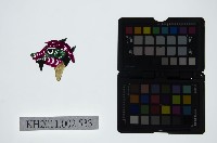 藏品(皮影戲偶頭-雜)的圖片