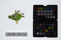 藏品(皮影戲偶頭-雜)的圖片