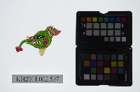 藏品(皮影戲偶頭-雜)的圖片