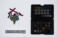 藏品(皮影戲偶頭-雜)的圖片