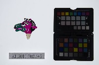 藏品(皮影戲偶頭-雜)的圖片