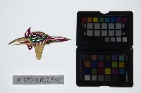 藏品(皮影戲偶頭-雜)的圖片