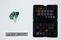 藏品(皮影戲偶頭-雜)的圖片