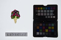 藏品(皮影戲偶頭-雜)的圖片