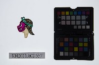 藏品(皮影戲偶頭-雜)的圖片