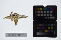 藏品(皮影戲偶頭-雜)的圖片