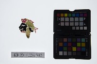 藏品(皮影戲偶頭-雜)的圖片