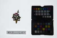 藏品(皮影戲偶頭-雜)的圖片