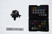 藏品(皮影戲偶頭-雜)的圖片