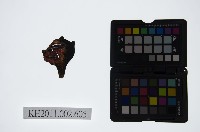 藏品(皮影戲偶頭-雜)的圖片