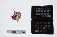 藏品(皮影戲偶頭-雜)的圖片