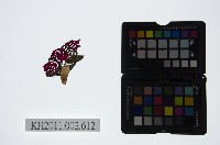 藏品(皮影戲偶頭-雜)的圖片