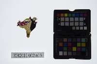 藏品(皮影戲偶頭-雜)的圖片