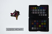 藏品(皮影戲偶頭-雜)的圖片