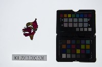 藏品(皮影戲偶頭-雜)的圖片