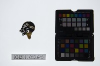 藏品(皮影戲偶頭-雜)的圖片