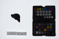 藏品(皮影戲偶頭-雜)的圖片