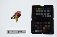 藏品(皮影戲偶頭-雜)的圖片