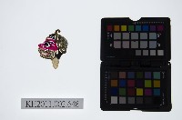 藏品(皮影戲偶頭-雜)的圖片