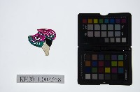 藏品(皮影戲偶頭-雜)的圖片